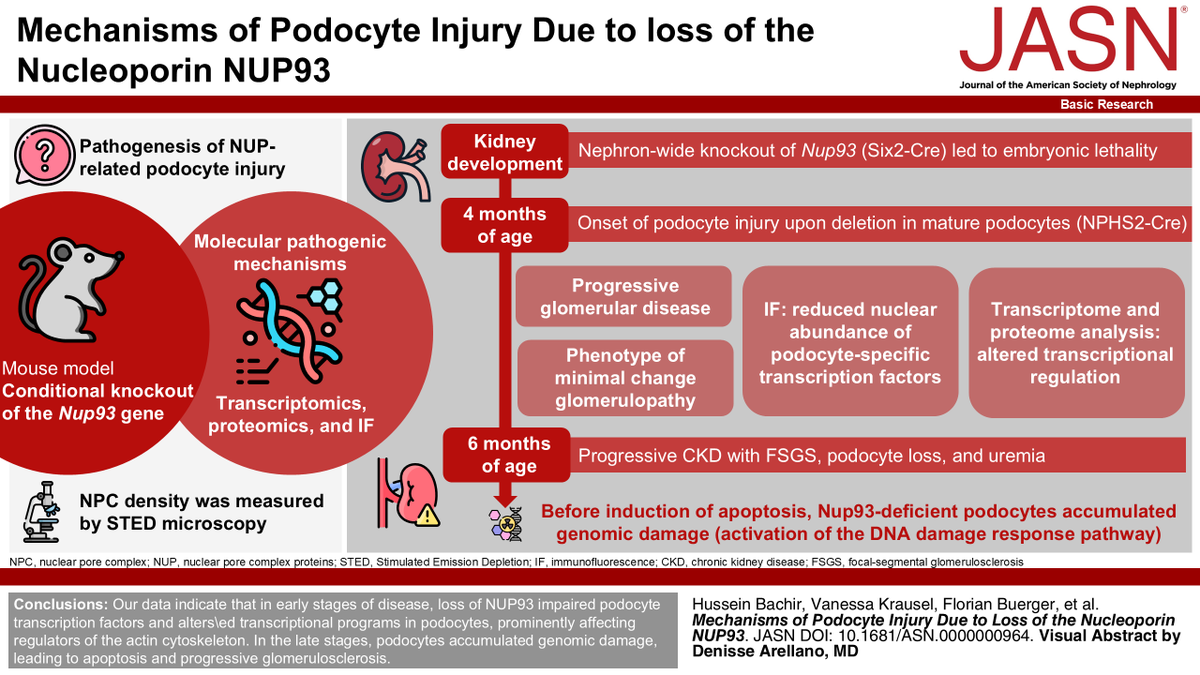 ASN Publications tweet media
