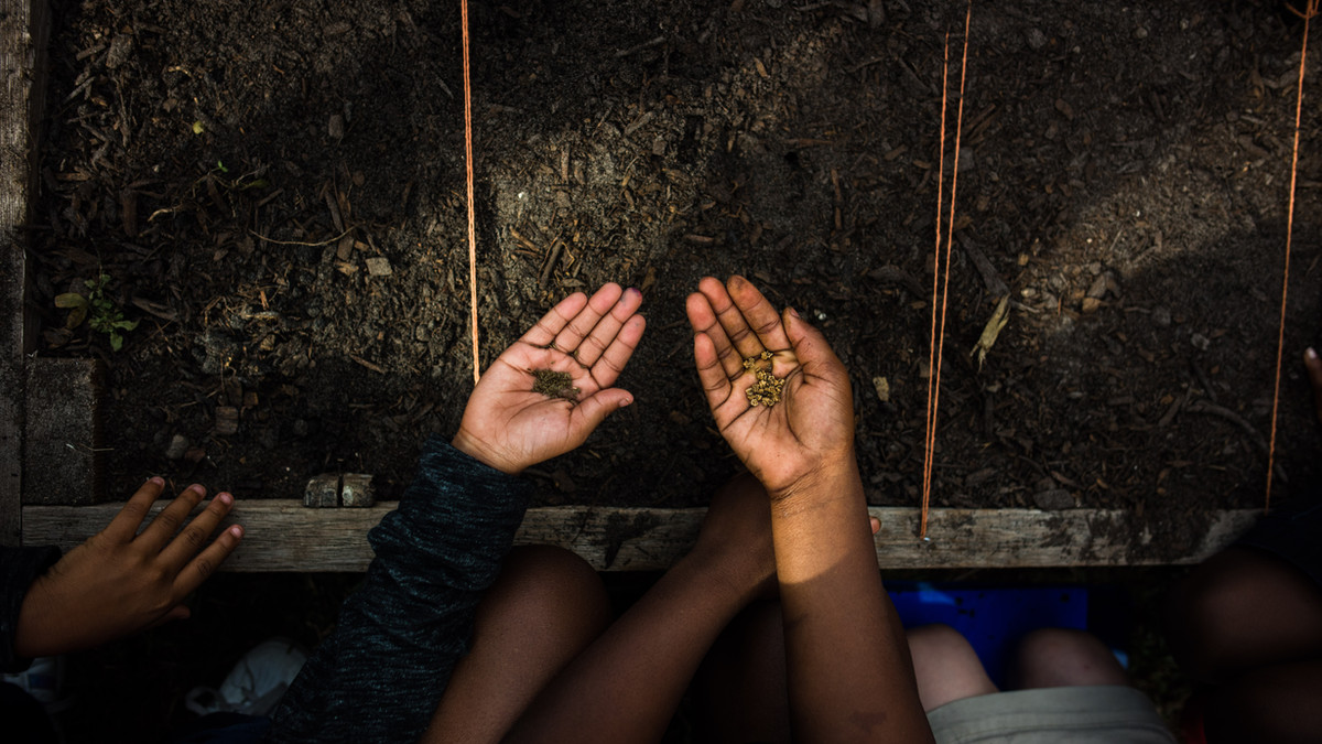 aGROWKulture Urban Farm tweet media