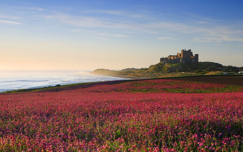 British Travel Journal tweet media