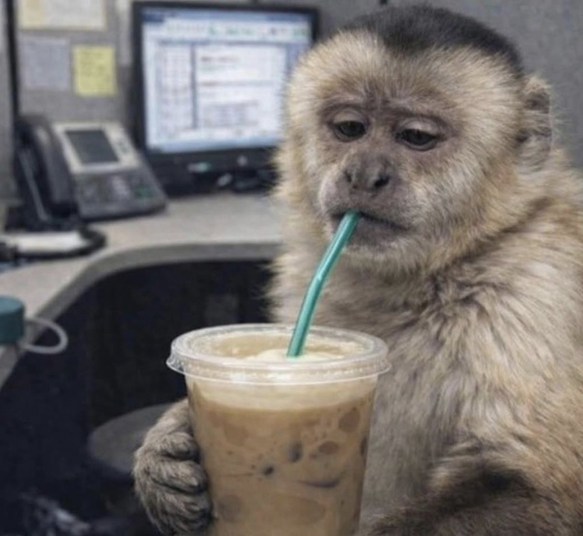 -Yo en el trabajo creyendo que un café me va a poner mágicamente de buen humor:
