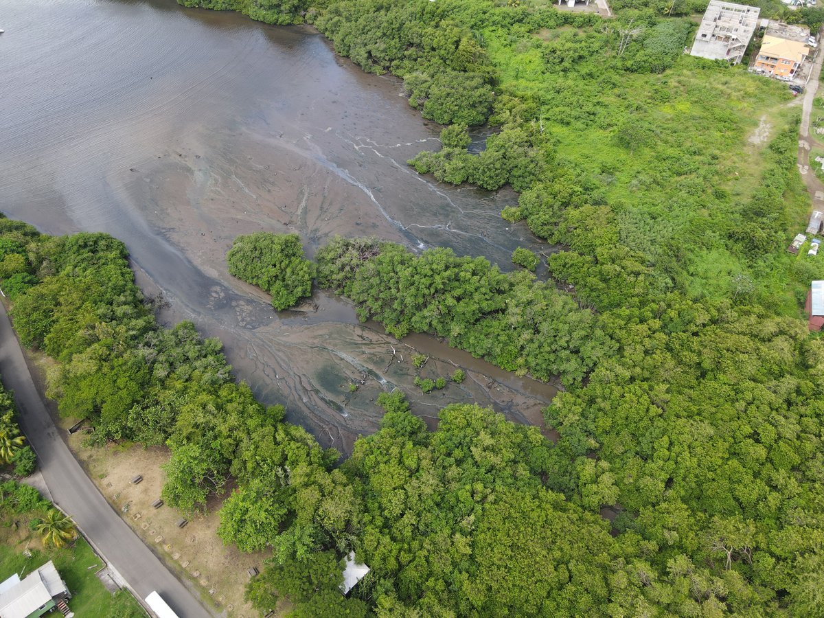 L’OECO se joint à la communauté internationale pour célébrer la Journée mondiale des zones humides sous le thème : « Zones humides et connaissances traditionnelles : Célébrer l'héritage culturel. »

Par le biais du projet BioSPACE, financé par l'Union européenne, l'OECO soutient