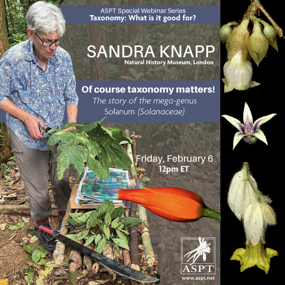 Our Friends at The American Society of Plant Taxonomists are excited to launch webinar series, “Taxonomy: What is it good for?”, 

They kick things off Friday, Feb 6 at 12 PM ET with Sandra Knapp (Natural History Museum, London).