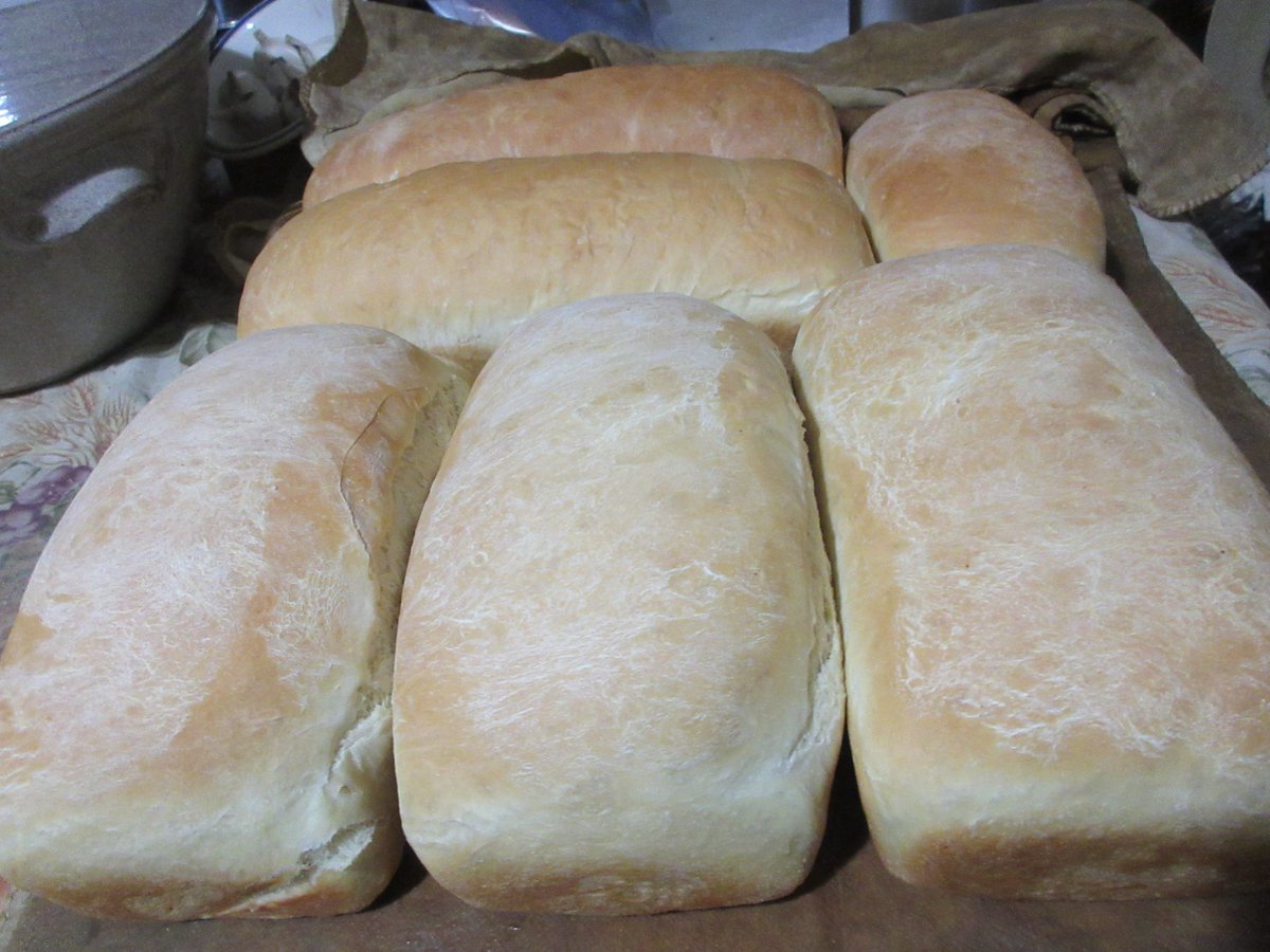 Roy Beck tweet media