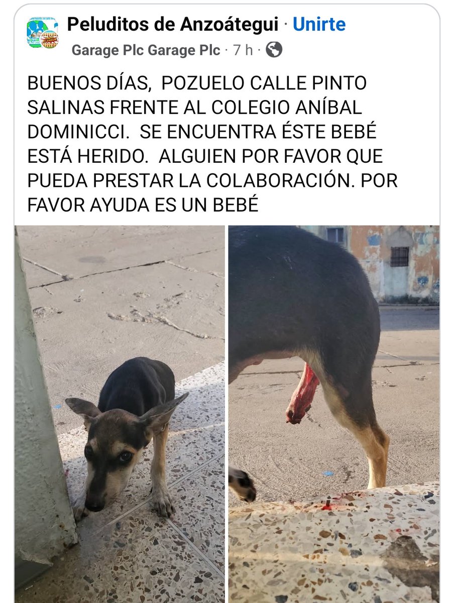 Necesita AYUDAAAAA URGENTE, Puerto La Cruz, Anzoátegui