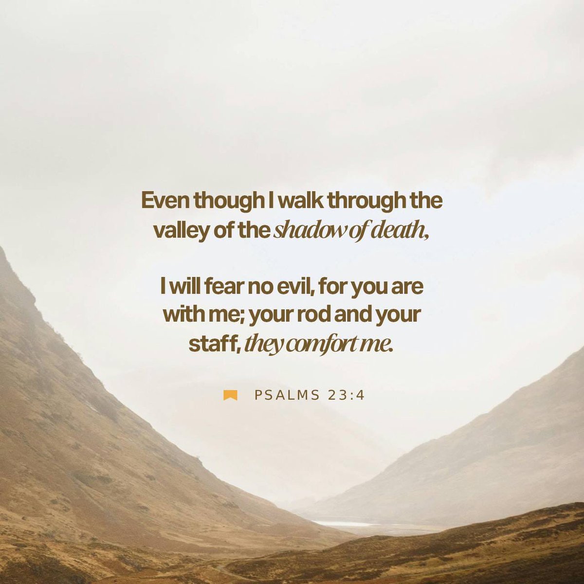 Samantha Griego (@mamorulover) on Twitter photo 