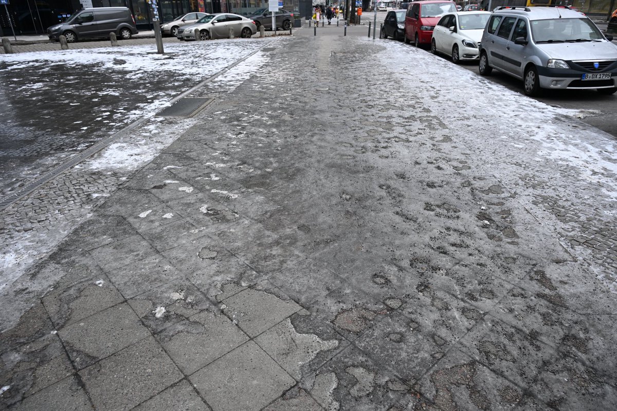 🎼 ℕ𝕚𝕔𝕔𝕠𝕝𝕠𝕋🌳🏛  🇮🇱 tweet media