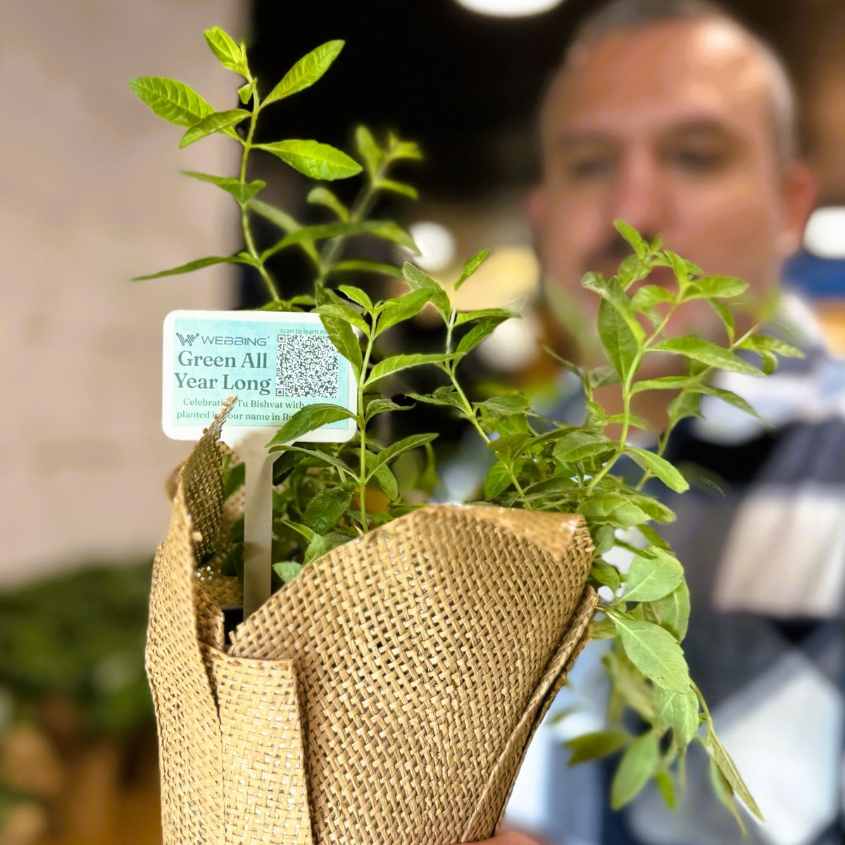 Webbing Inc tweet media