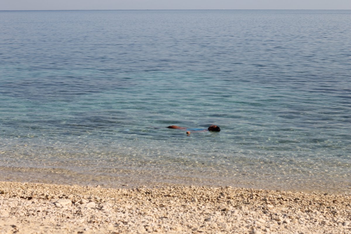 natayaska's tweet image. I worship Haiti's nature !  from north to south to west  to east..  she 's so beautiful ... the food  she gives us... the sun .. the sky ..