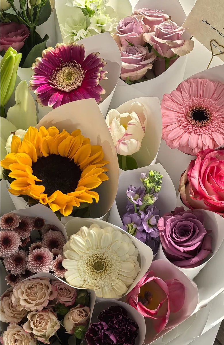 𝗟𝗲𝗲𝗻 (@1leio) on Twitter photo 