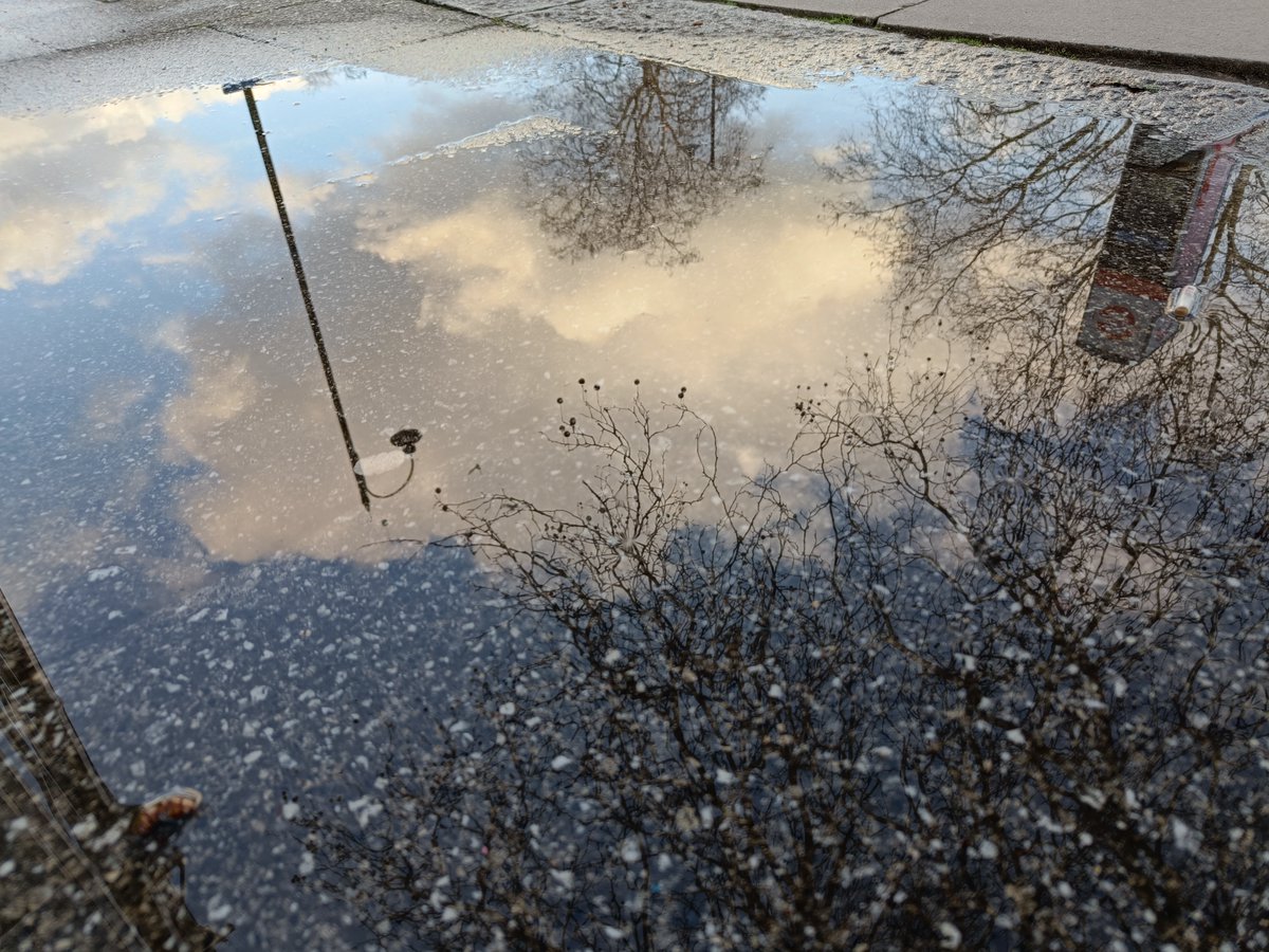 R. Rorýs 𓅪𓄿𓅜 (@hvezda369) on Twitter photo 