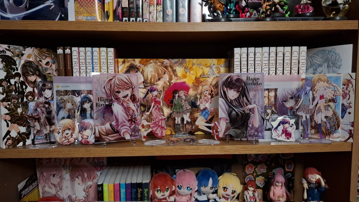 Citrus 2025 Yuzu Mei birthday celebration goods finally arrived