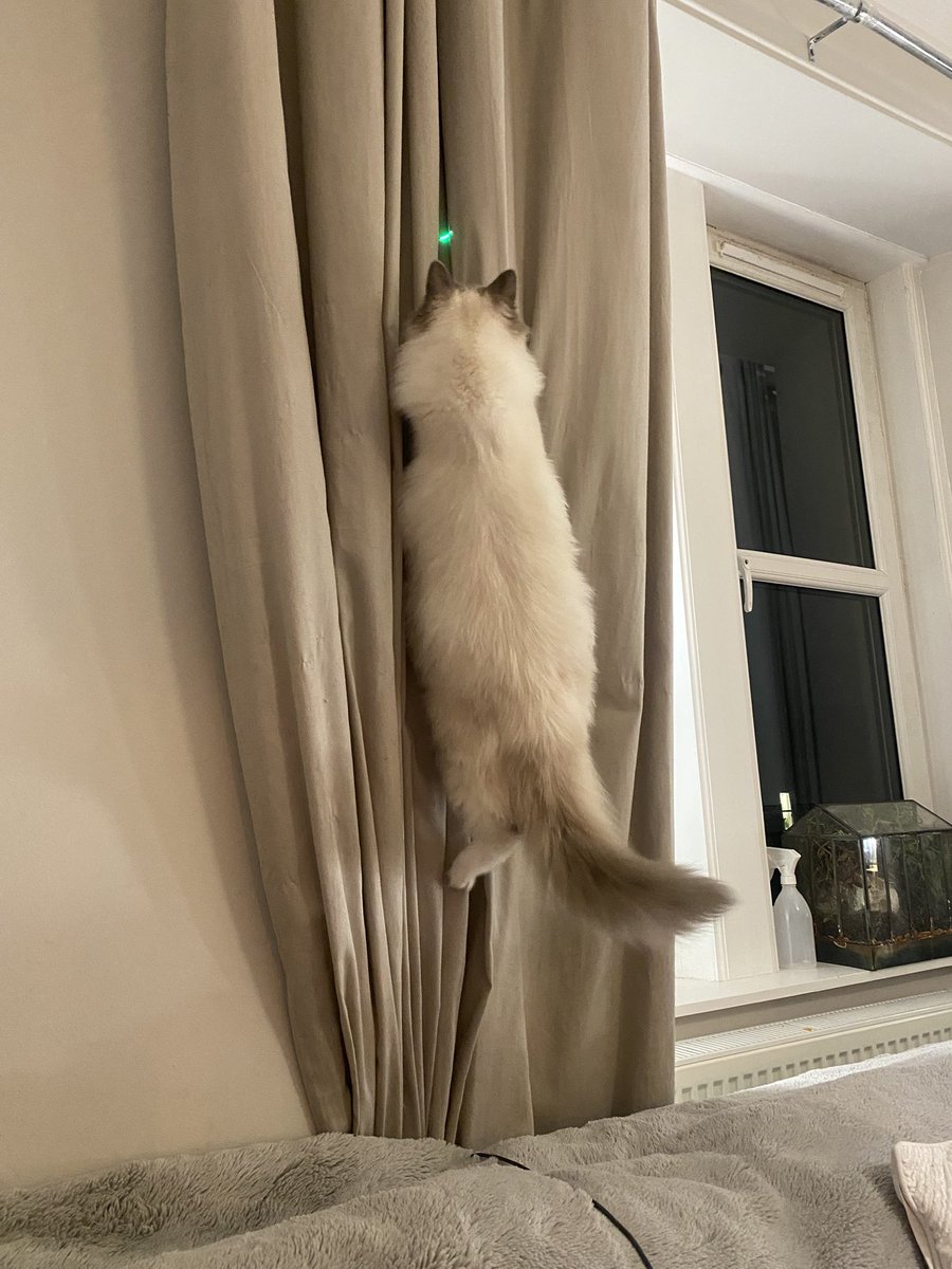 Paul Donlin-Asp 🏳️🌈 tweet media