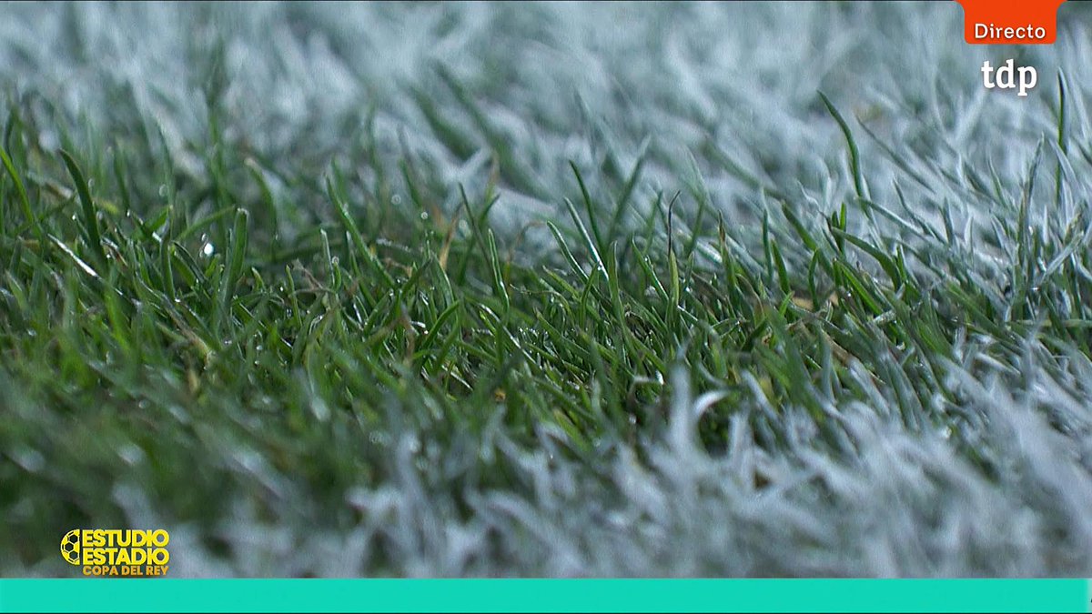 FCB World tweet media