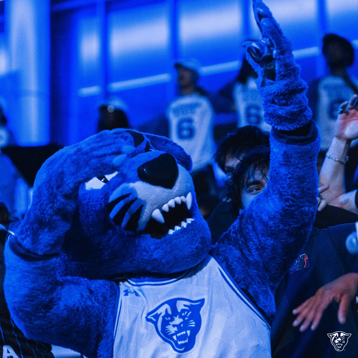 GSU Men's Basketball tweet media