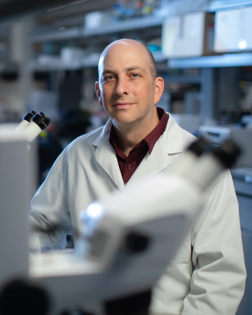 DKJEI_UHN's tweet photo. Congratulations to Dr. Jeremy Sivak, Senior Scientist @DKJEI_UHN, for receiving a 5-year grant through the Canadian Institutes of Health Research (@CIHR_IRSC) for his project, "Uncovering a Novel Neuroprotective Signaling Pathway in Retina." https://t.co/hIwjUqVIHC