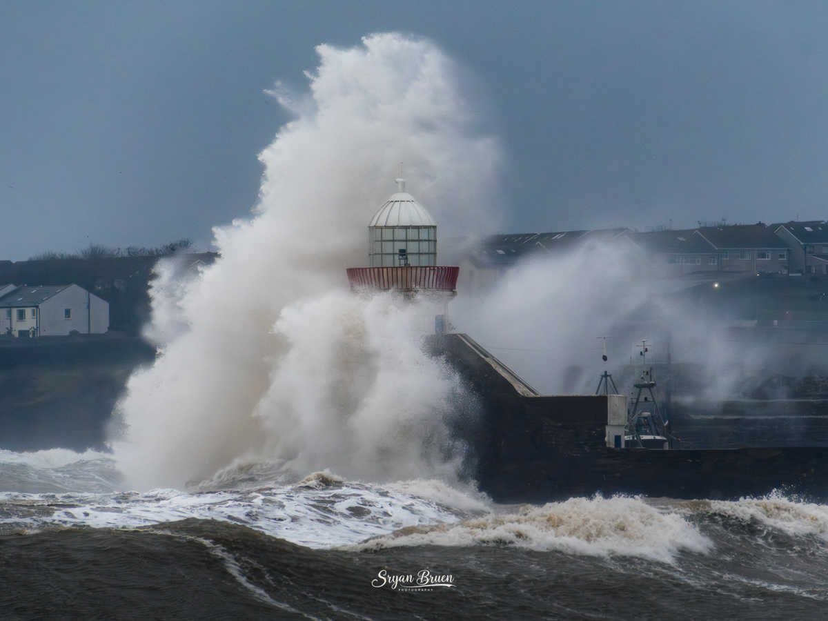 Sryan Bruen Photography tweet media