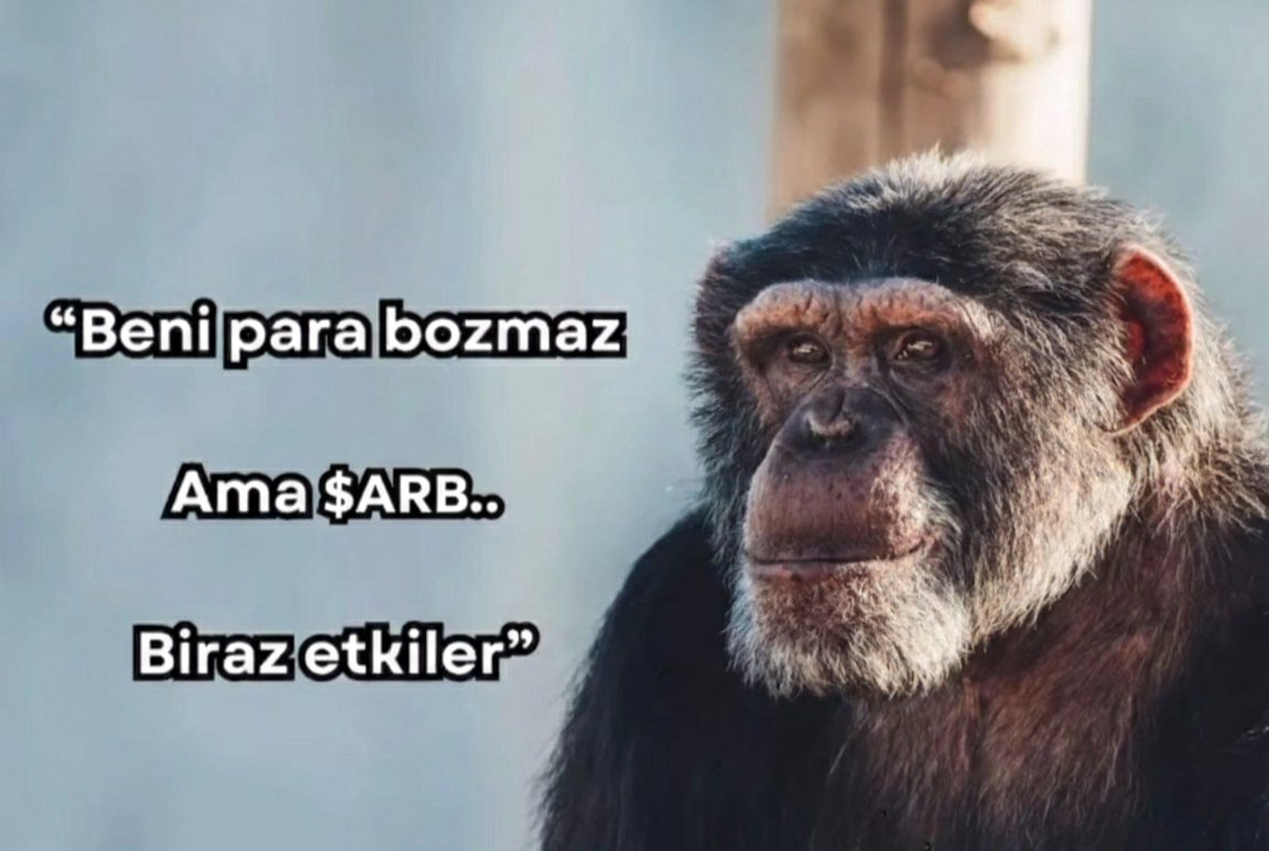 Lunarium Locası Üyesi 💫 tweet media