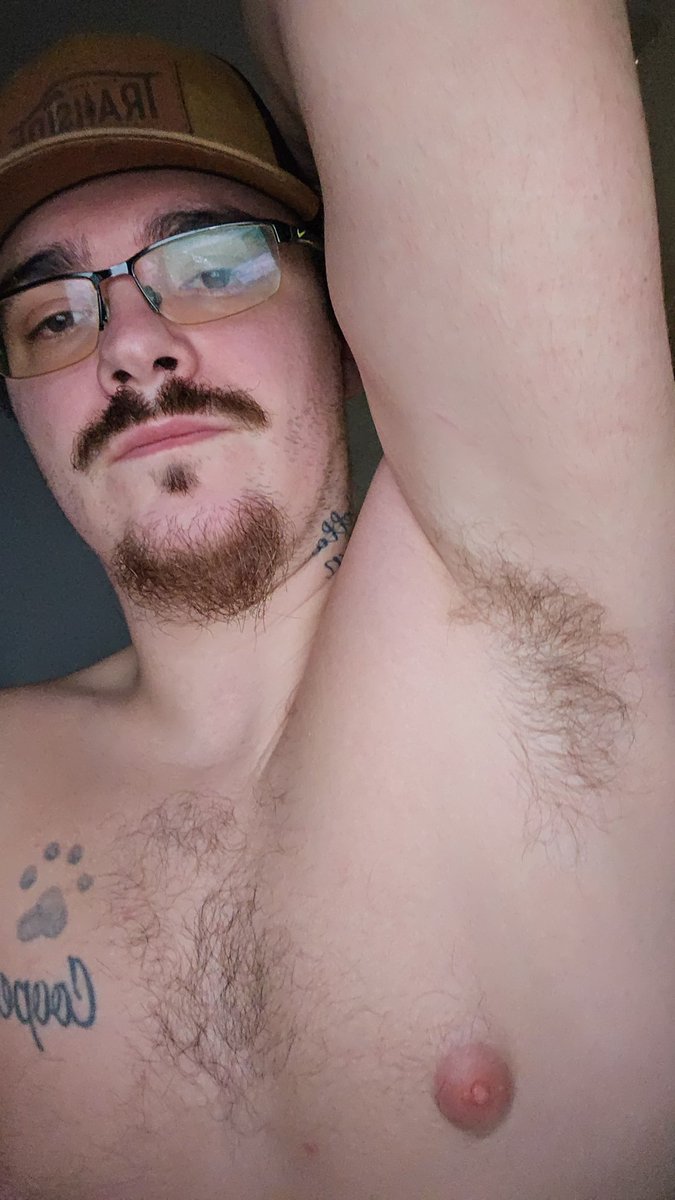 AlphaBlueCollar tweet media