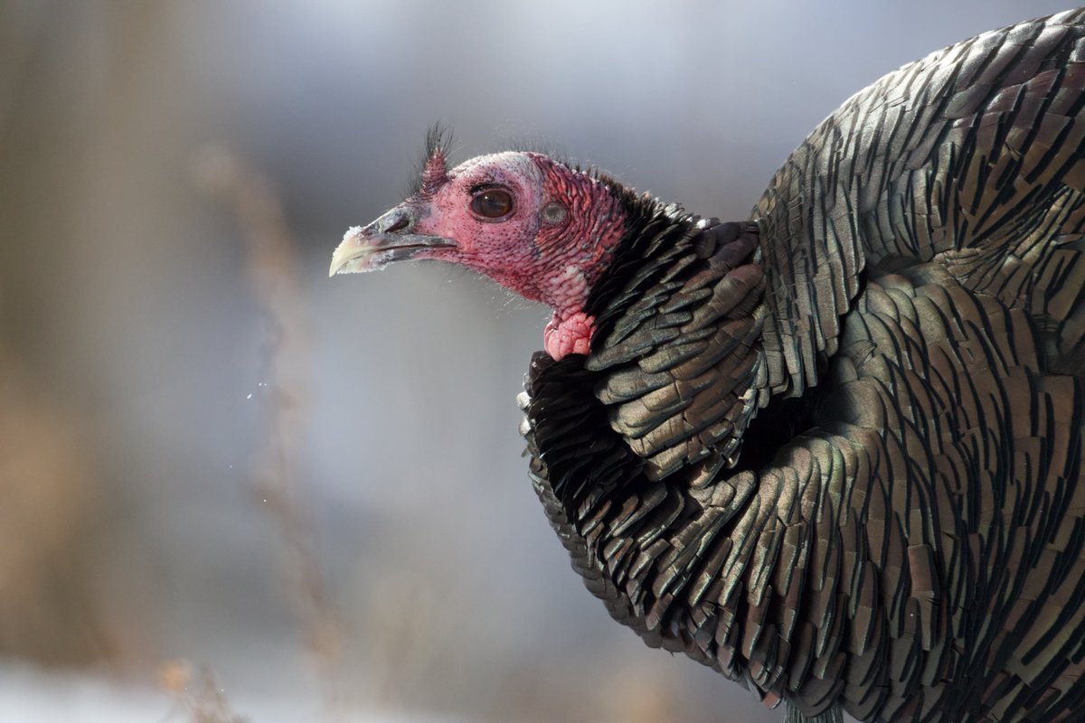 Ordinary Filmmaker tweet media