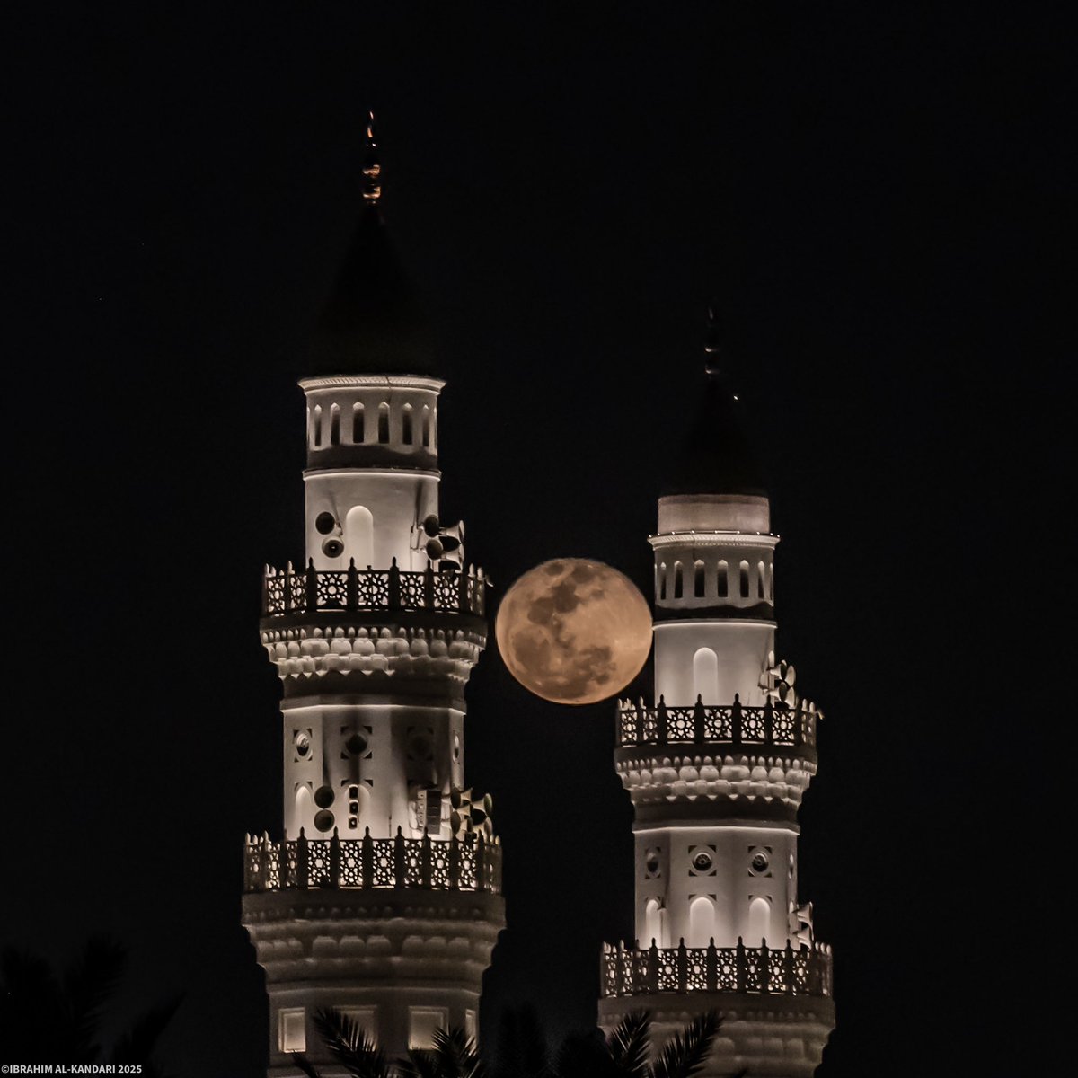 ابراهيم الكندري | IBRAHIM AL-KANDARI tweet media