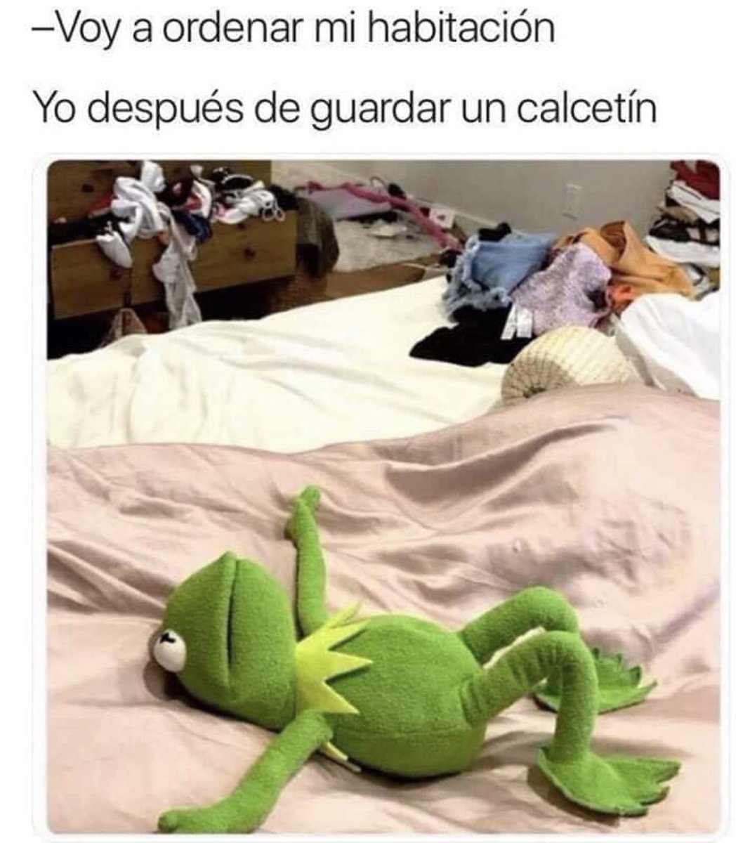 Un Estudiante tweet media