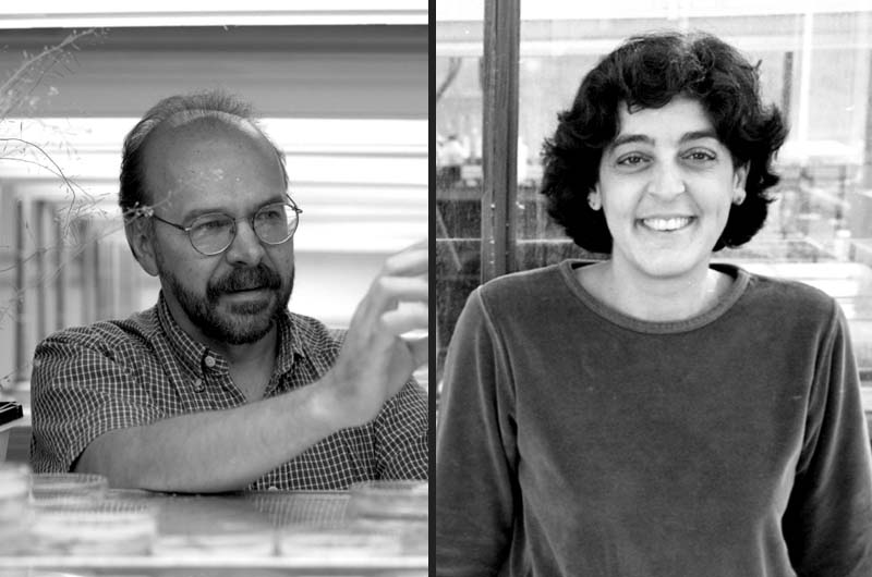 Salk Institute tweet media