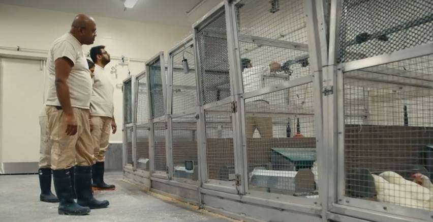 NSERC / CRSNG tweet media