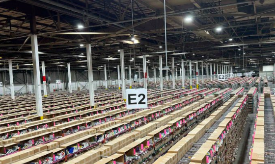 David Vichnar tweet media