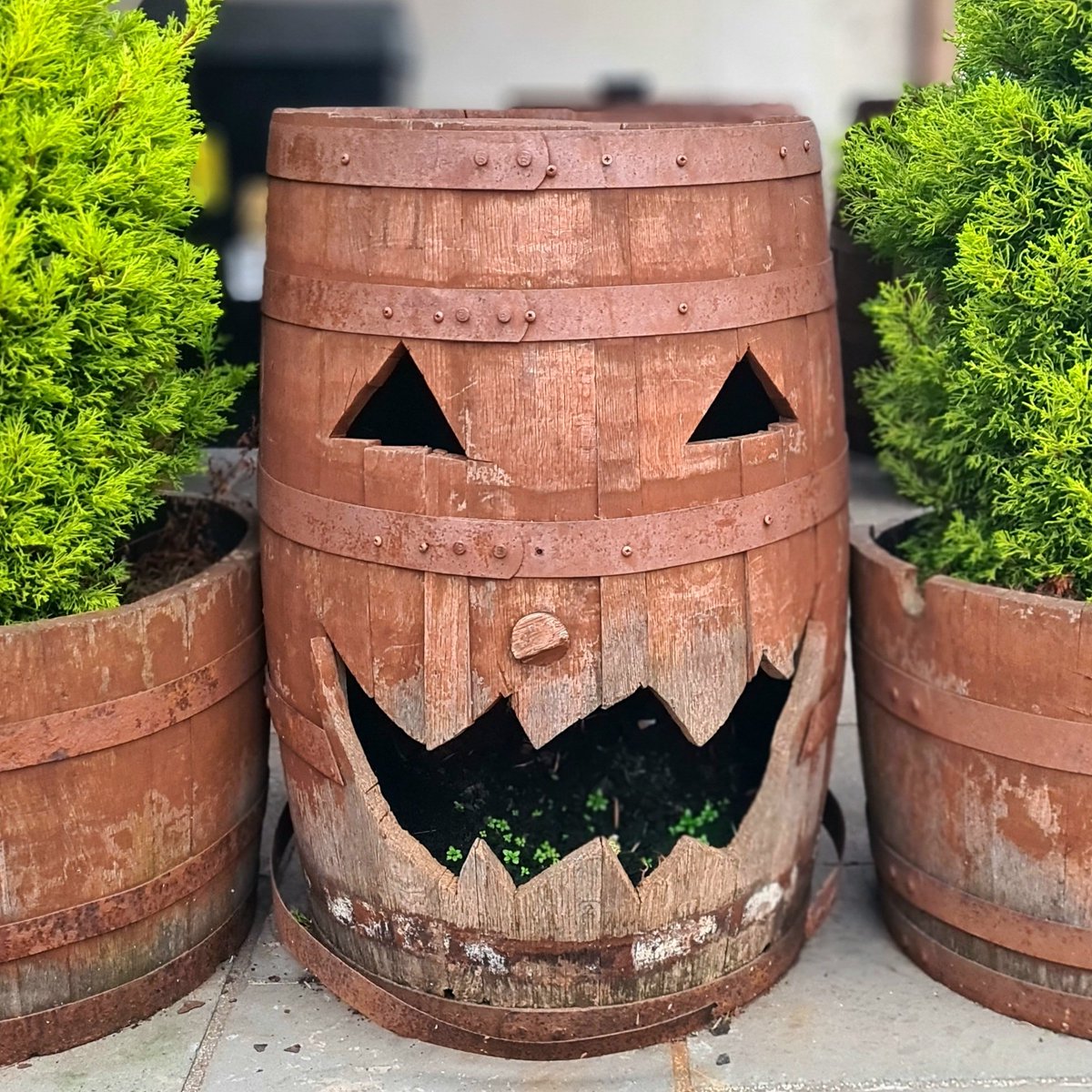 is_glasgow's tweet image. Love what's been done to this barrel outside the Transylvania Shop on Victoria Road in Glasgow. It's just a great bit of decoration that makes an interesting addition to the typical 'barrel as furniture' genre.

#glasgow #govanhill #barrel #shopdecor #keepglasgowweird