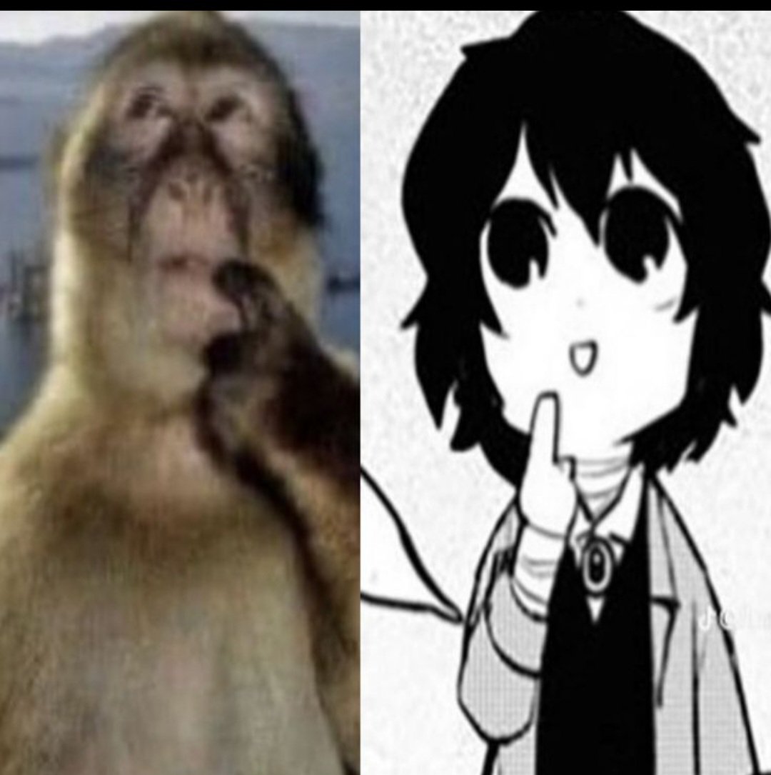 Mini Cat tweet media