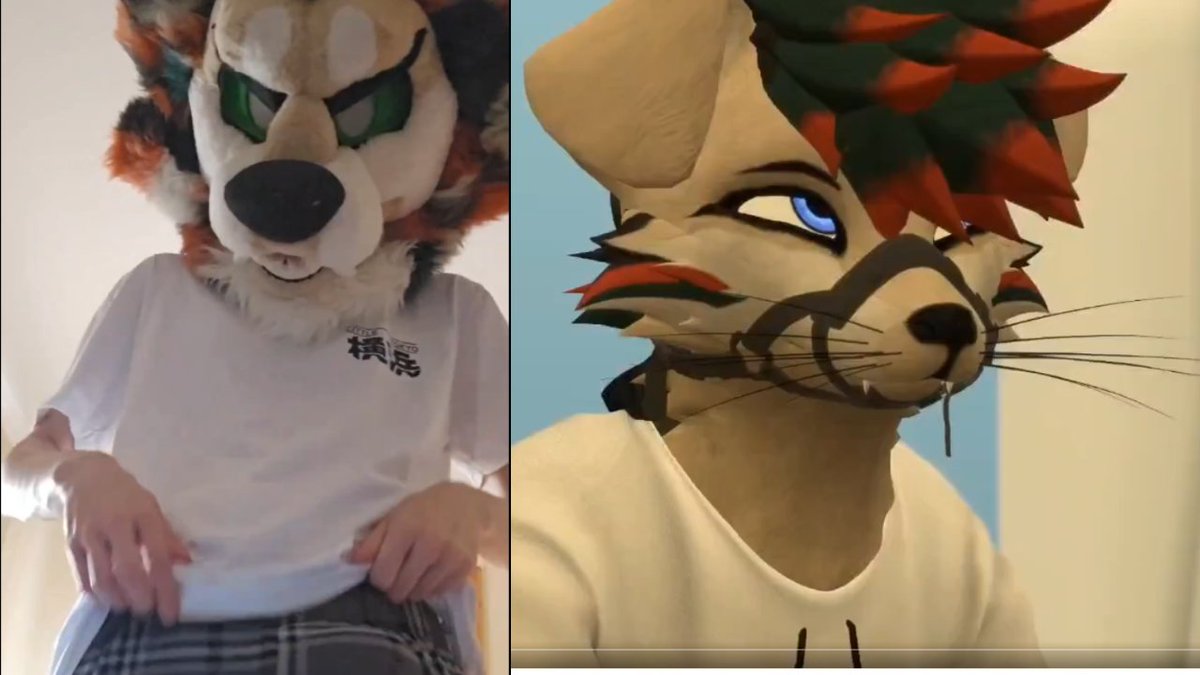 Yuri Chacal tweet media