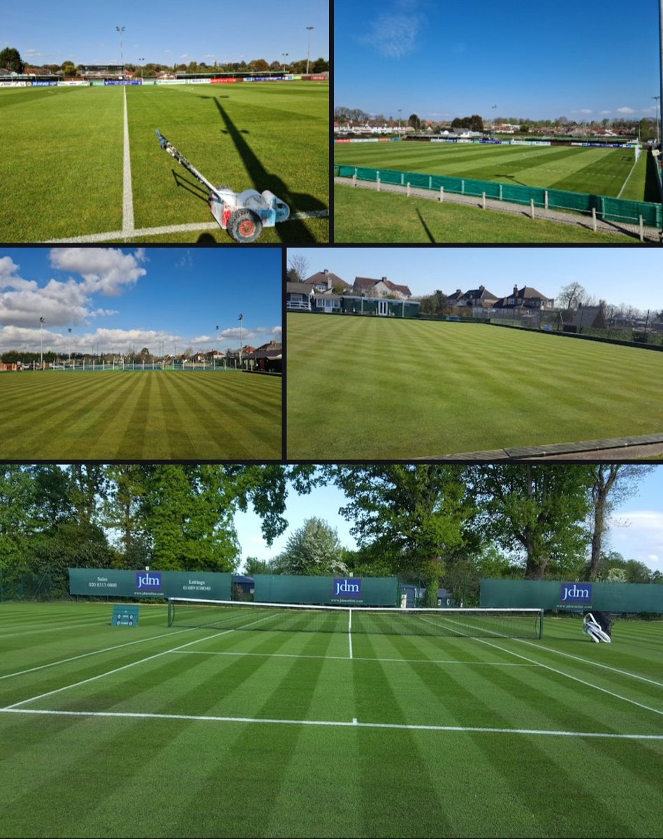 Stephen Johnson tweet media