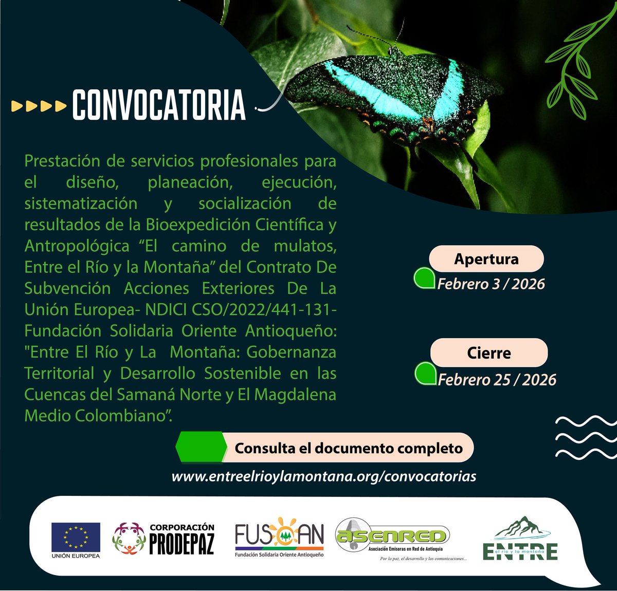 ¡Atención! Convocatoria abierta 

🌿Prestación de servicios profesionales para el diseño, planeación, ejecución, sistematización y socialización de resultados de la Bioexpedición Científica y Antropológica “El camino de mulatos, Entre el Río y la Montaña”.
