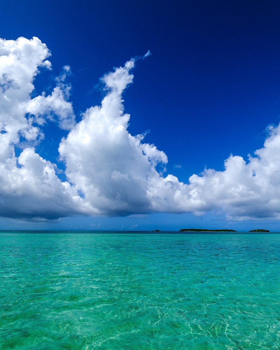 Outerreefyachts's tweet photo. A long-range yacht is meant to expand your world — not consume it with uncertainty. Outer Reef Yachts clients choose peace of mind, backed by experience and financial stability.
#PeaceOfMind #OuterReefLife #GoFurther #AdventureYachting #TrustedFor25Years https://t.co/rKa3xFDTYR