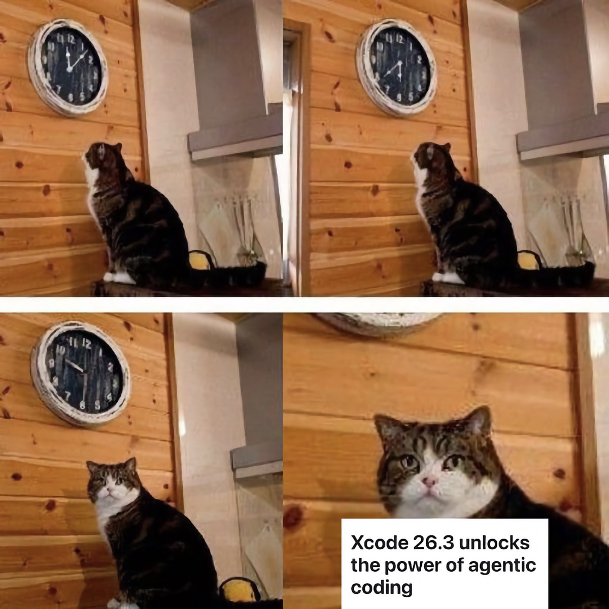 Mind the Pete (@mindthepete) / Posts / X