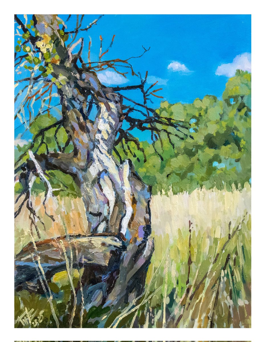 Oil on hardboard 🧡 
40x30cm