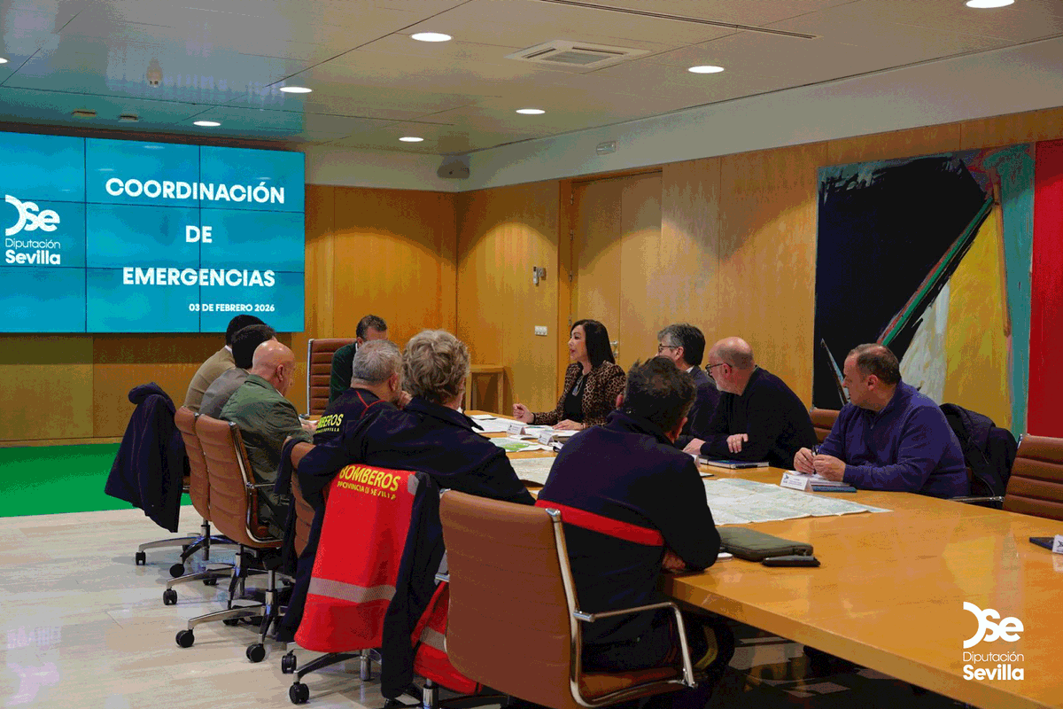 Diputación de Sevilla tweet media