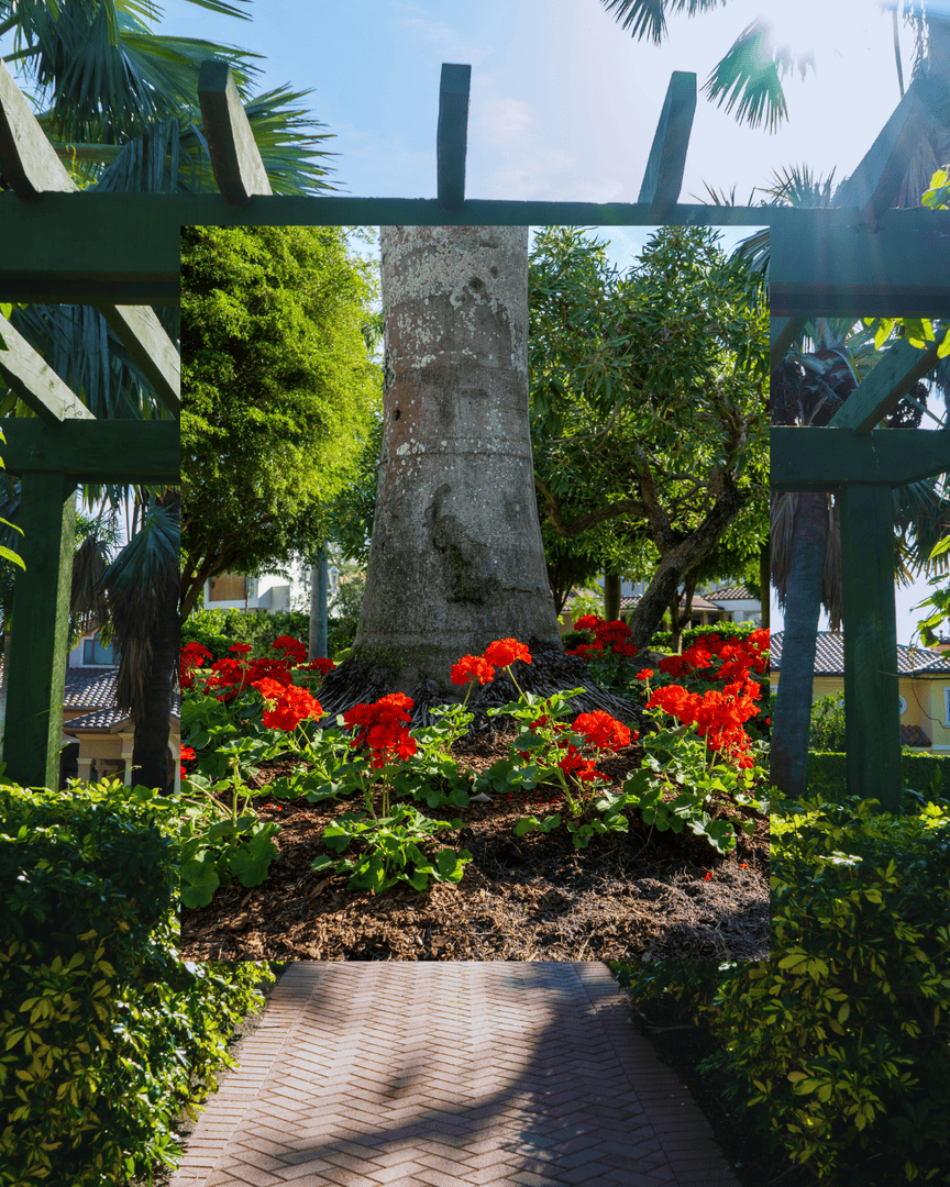 ✨ Small Business Spotlight: Grant’s Gardens ✨

Grant’s Gardens designs and maintains beautiful outdoor spaces across Sarasota. 🌿 Expert landscaping, Florida-focused design, and results that last.

📍 Sarasota, FL
🌿 Full Service Landscaping