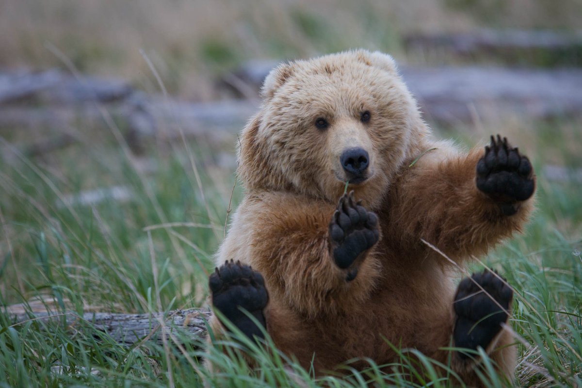 this is me btw if you even care