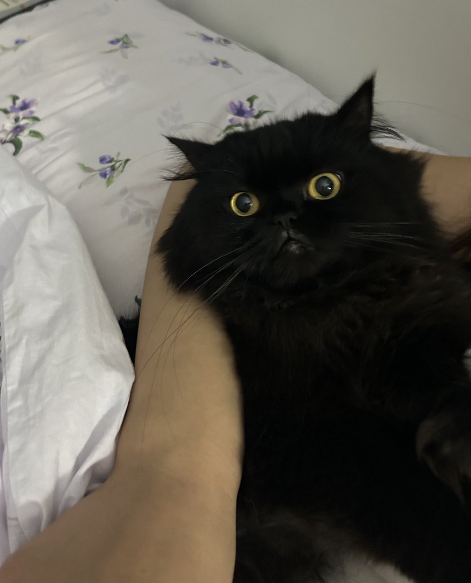 🍓Çilek Kiraz🍒 tweet media