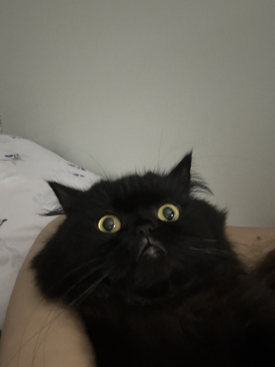 🍓Çilek Kiraz🍒 tweet media