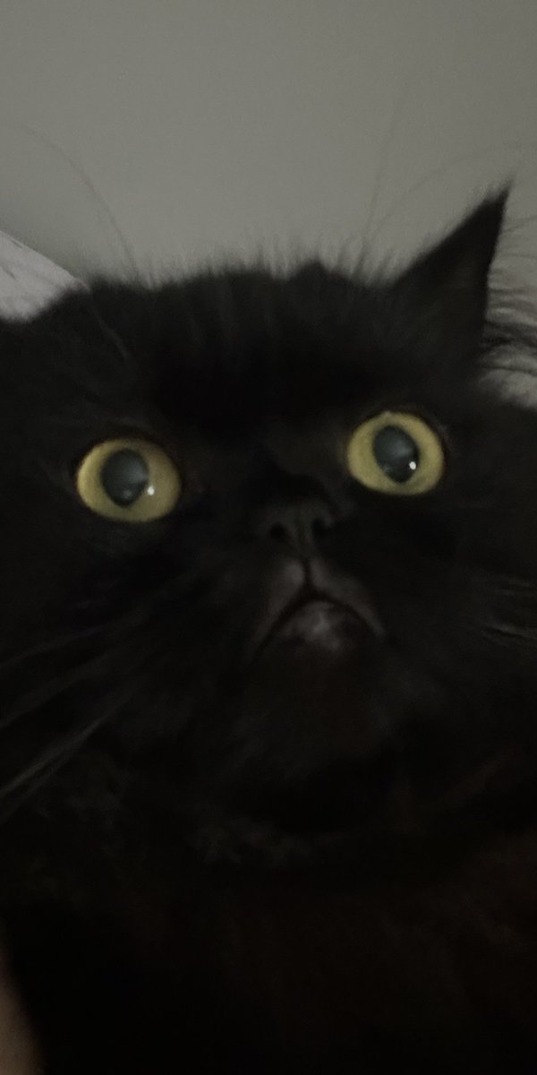 🍓Çilek Kiraz🍒 tweet media