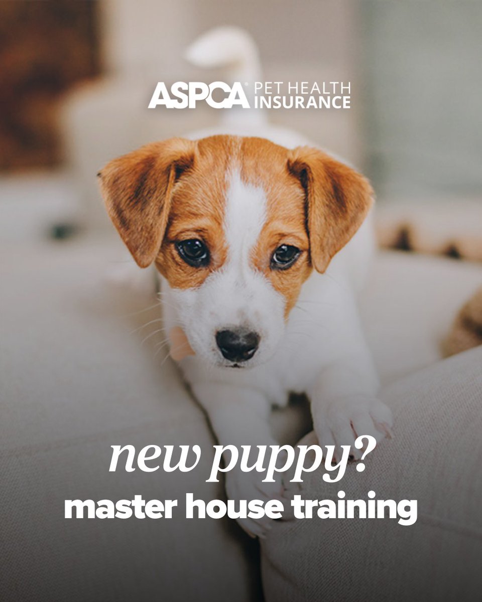 ASPCA Pet Insurance tweet media