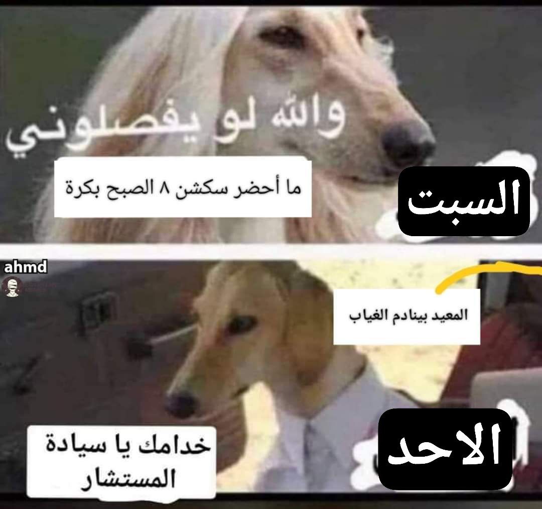 Hossam Ragab (@7osooo19) on Twitter photo 