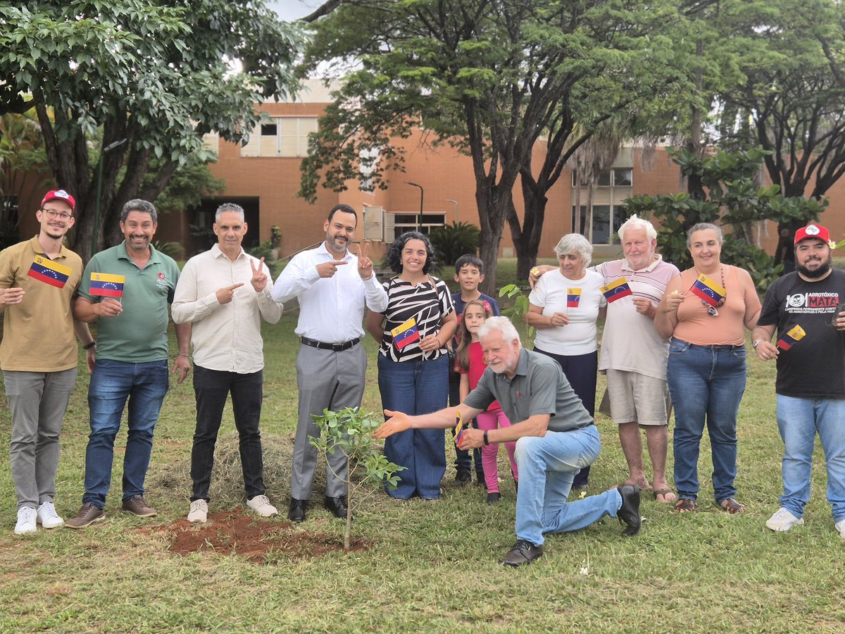 Sigue la jornada de plantación del <a href="/MST_Oficial/">MST Oficial</a> en varios puntos de Brasil. 

En solidaridad con el pueblo venezolano y por la libertad de Nicolás Maduro y Cilia Flores el movimiento plantó árboles en la Embajada de Venezuela en Brasilia. 

Fts: <a href="/MirkhanAlex/">Alex Mirkhan</a>
