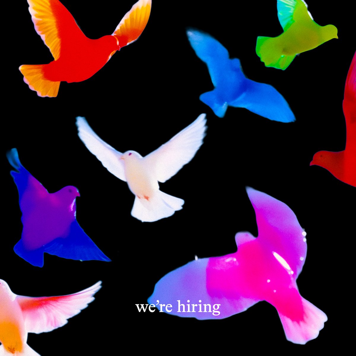 Jason Yuan tweet media