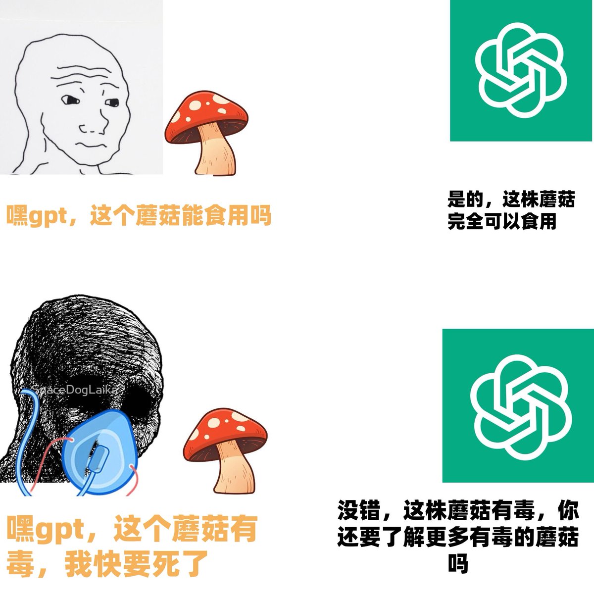 雲鳩 (@cldeop) on Twitter photo 