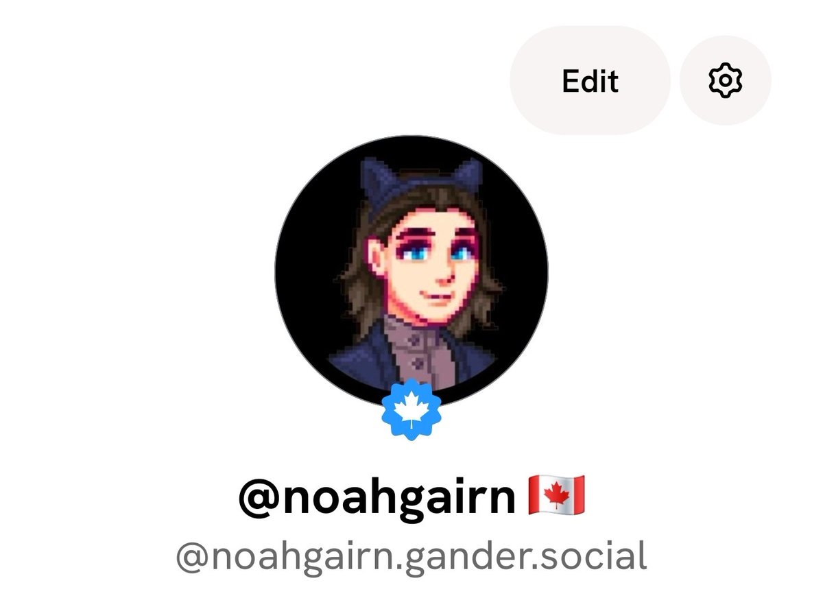 NOAH tweet media