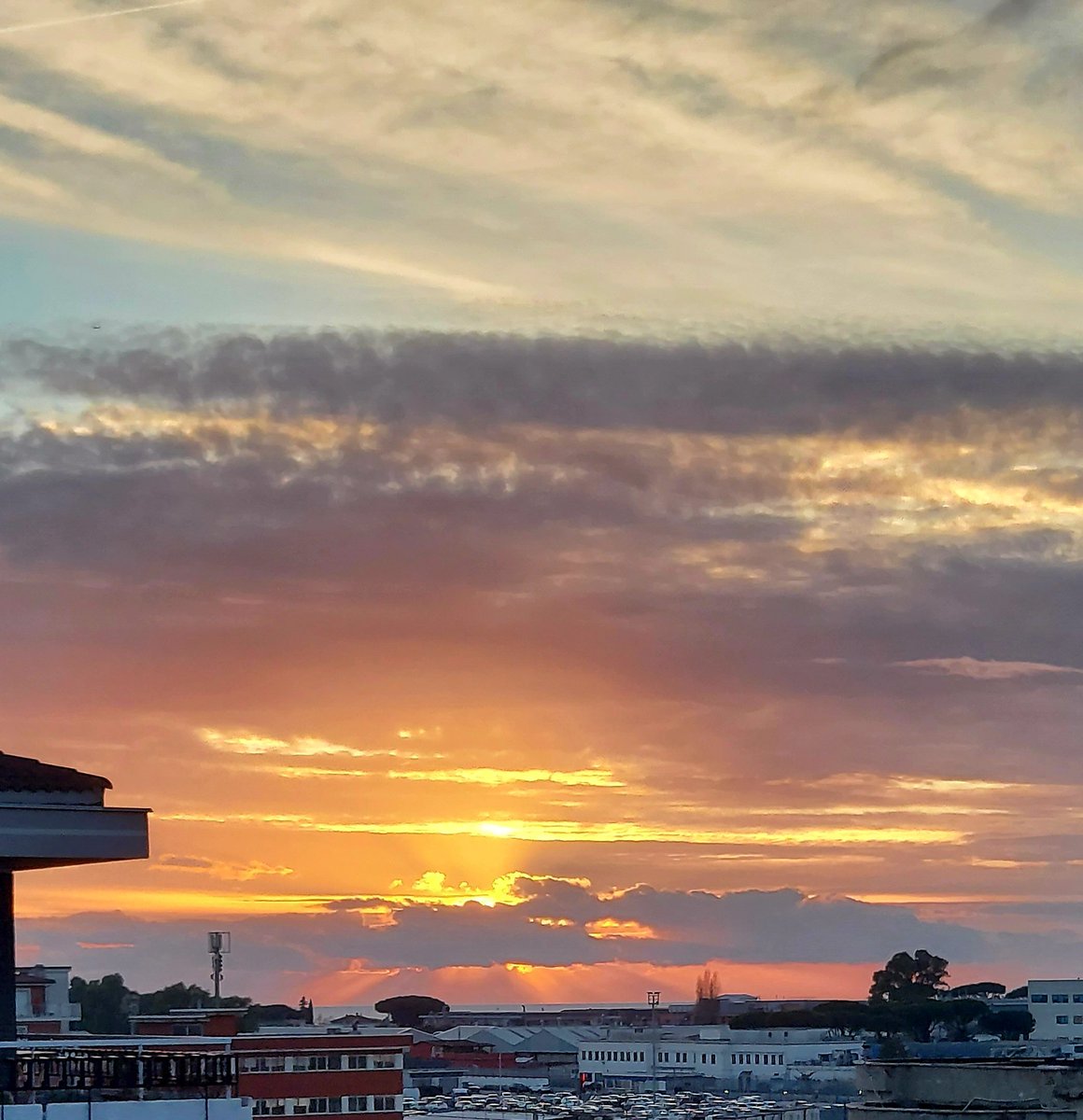 Maria Lea tweet media