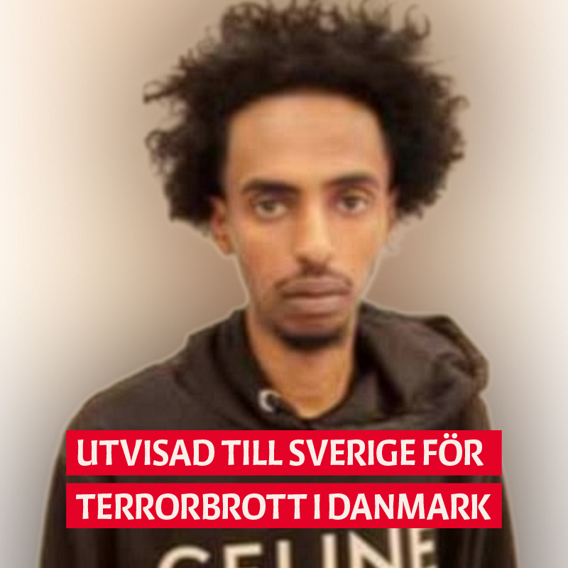 DABoooomB's tweet photo. Sverige har blivit världens soptipp🤮 https://t.co/vDxz26pcXQ